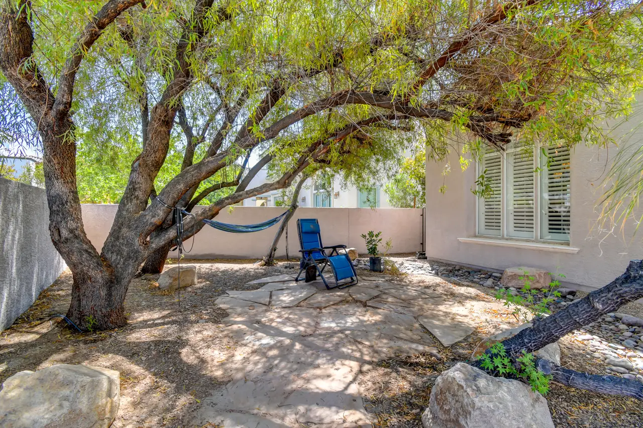 Backyard under a broad mesquite canopy with a hammock and lounge chairs